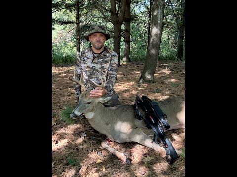 Rhino Print Tag Box Demo